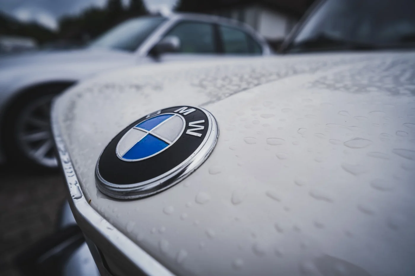 BIG BMW SRAZ.
